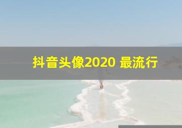 抖音头像2020 最流行